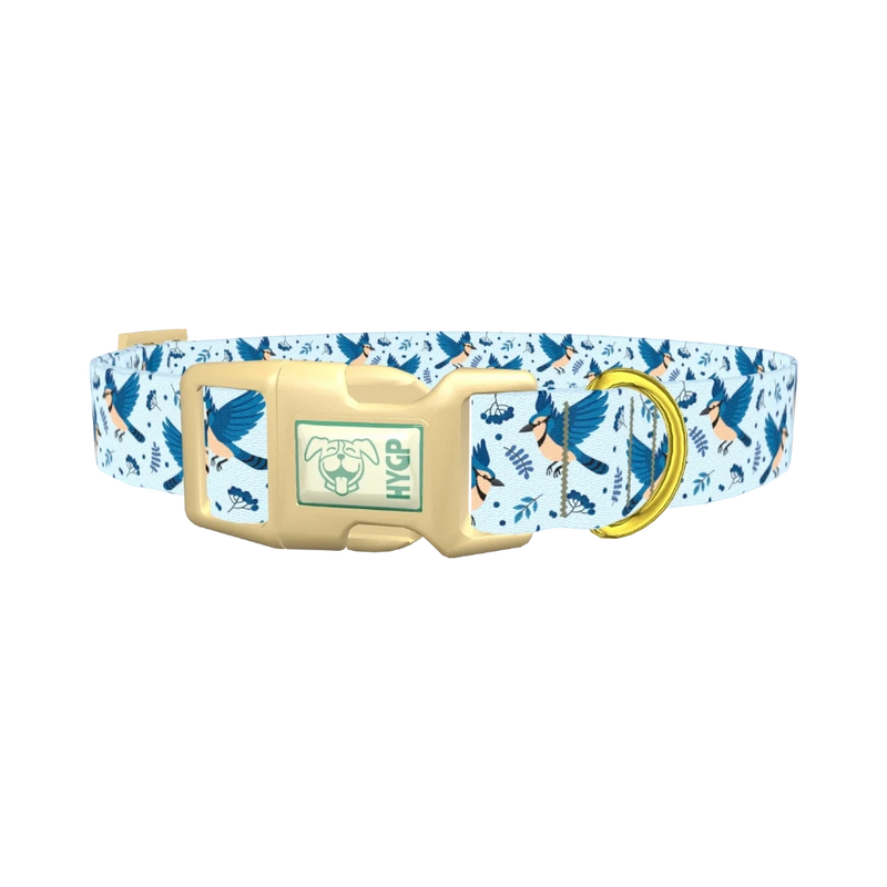 Bluejay Bird Dog Collar - plastic gold