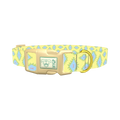 Geometric Diamond Dog Collar - plastic gold