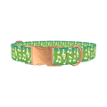Green Musical Note Dog Collar - metal rose gold