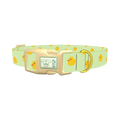 Rubber Duckies Dog Collar - plastic gold