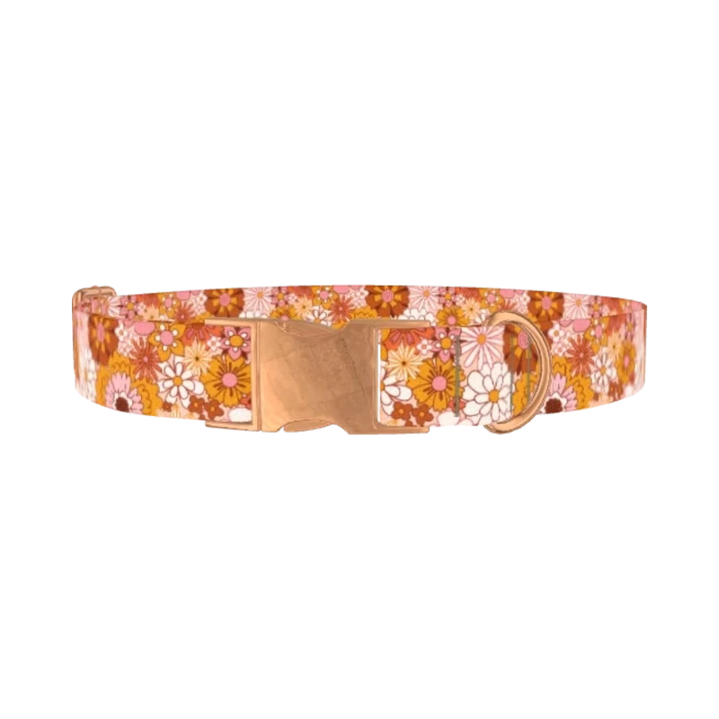 Retro Flower Burst Dog Collar - metal rose gold