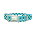 Blue Christmas Trees Dog Collar - plastic silver