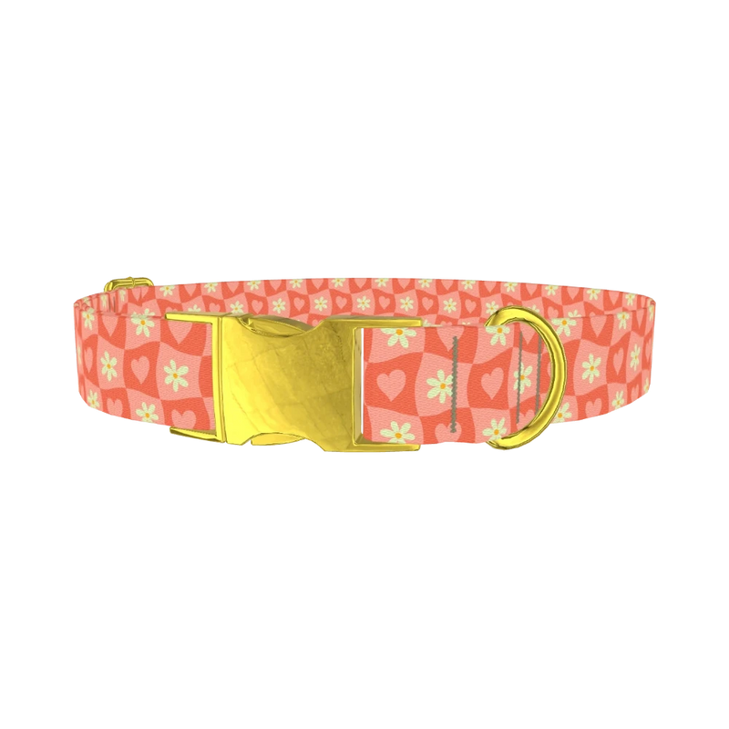 Heart and Daisy Dog Collar - metal gold