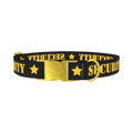 Security Star Dog Collar - metal gold