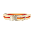 Retro Geometric Dog Collar - metal silver