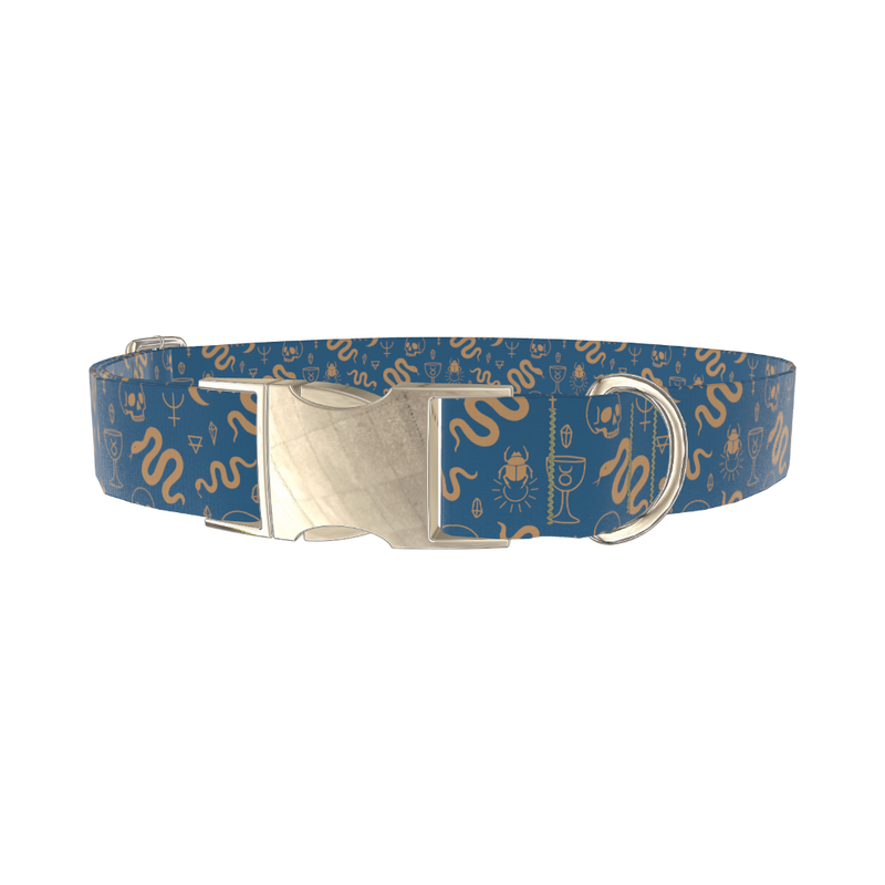 Halloween Snakes and Skulls Dog Collar - metal gold