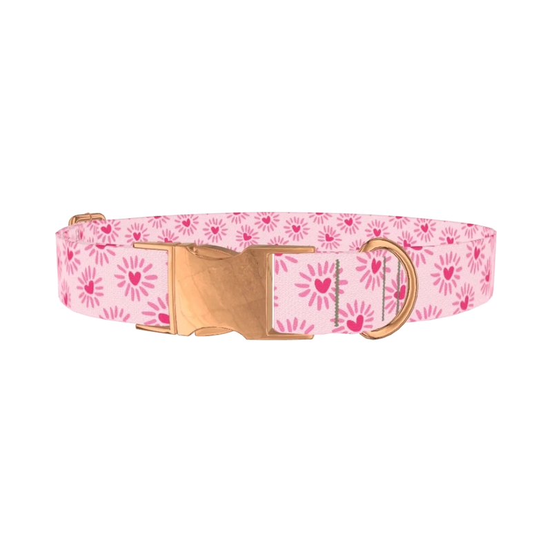 Heart Burst Dog Collar - metal rose gold