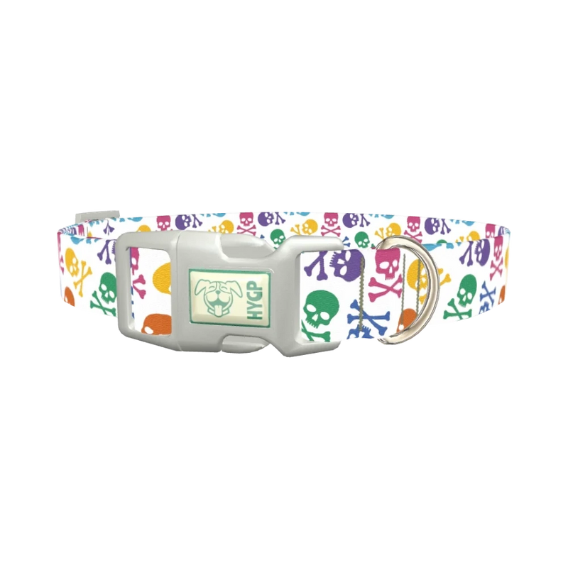 Colorful Skull Pattern Dog Collar - plastic silver