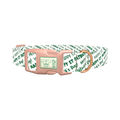 St. Patrick's Day Script Dog Collar - plastic rose gold