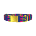 Colorful Dual Stripe Dog Collar - metal gold