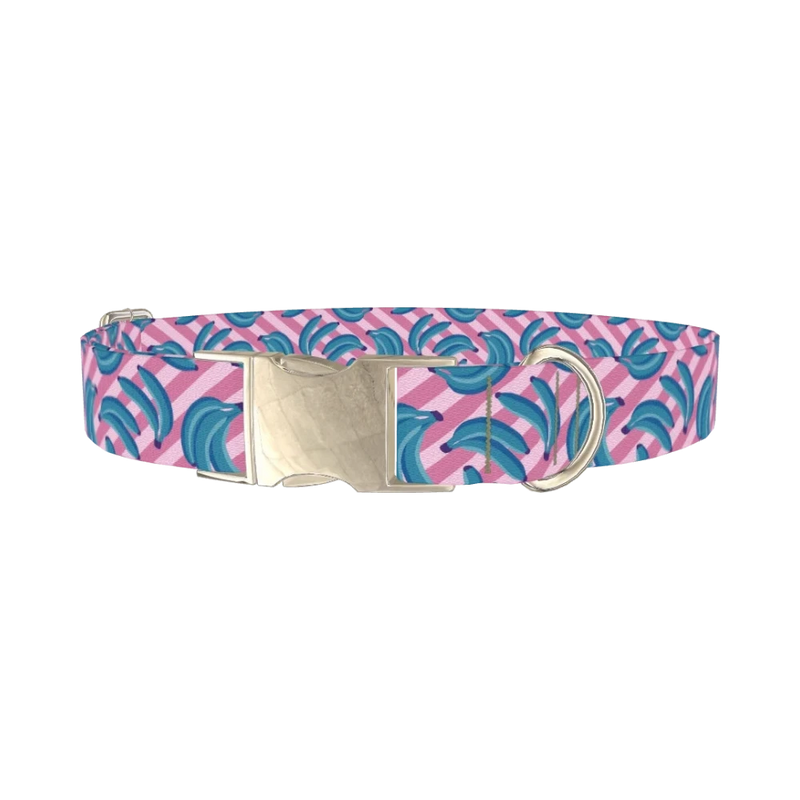 Blue Banana Dog Collar - metal silver
