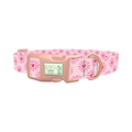Heart Burst Dog Collar - plastic rose gold