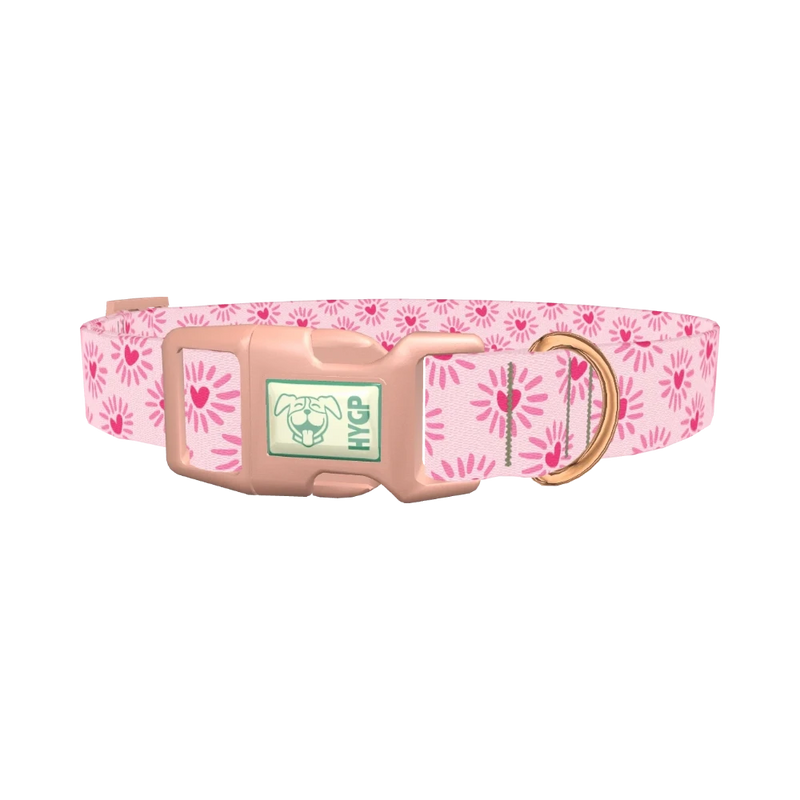 Heart Burst Dog Collar - plastic rose gold
