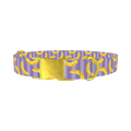 Banana Stripe Dog Collar - metal gold
