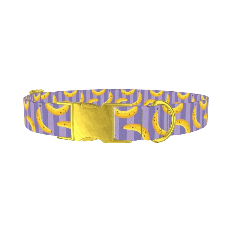 Banana Stripe Dog Collar - metal gold