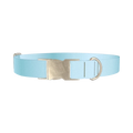 Blue Gradient Dog Collar - metal silver