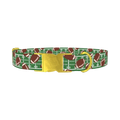 Green Football Field Dog Collar - metal gold