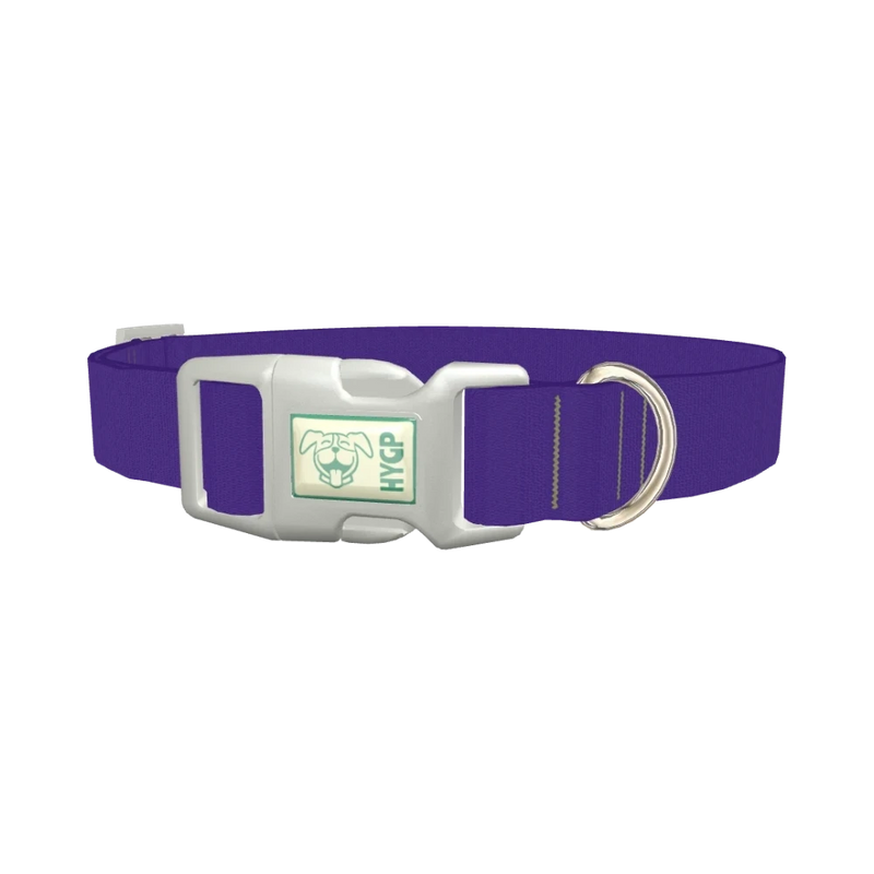Blue Magenta Violet Color Dog Collar - plastic silver