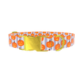 Halloween Pumpkin Stripe Dog Collar - metal rose gold