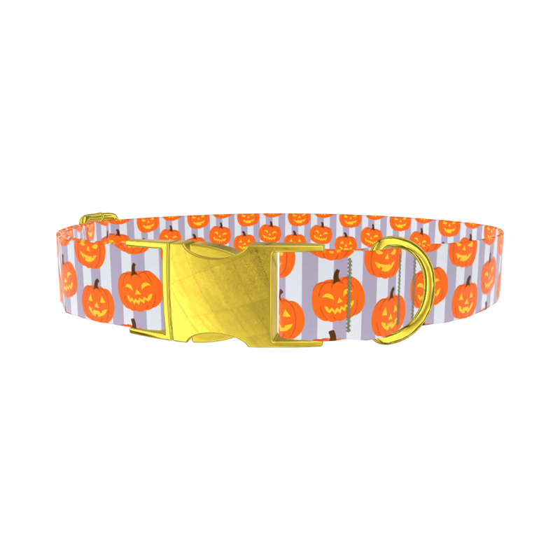 Halloween Pumpkin Stripe Dog Collar - metal rose gold