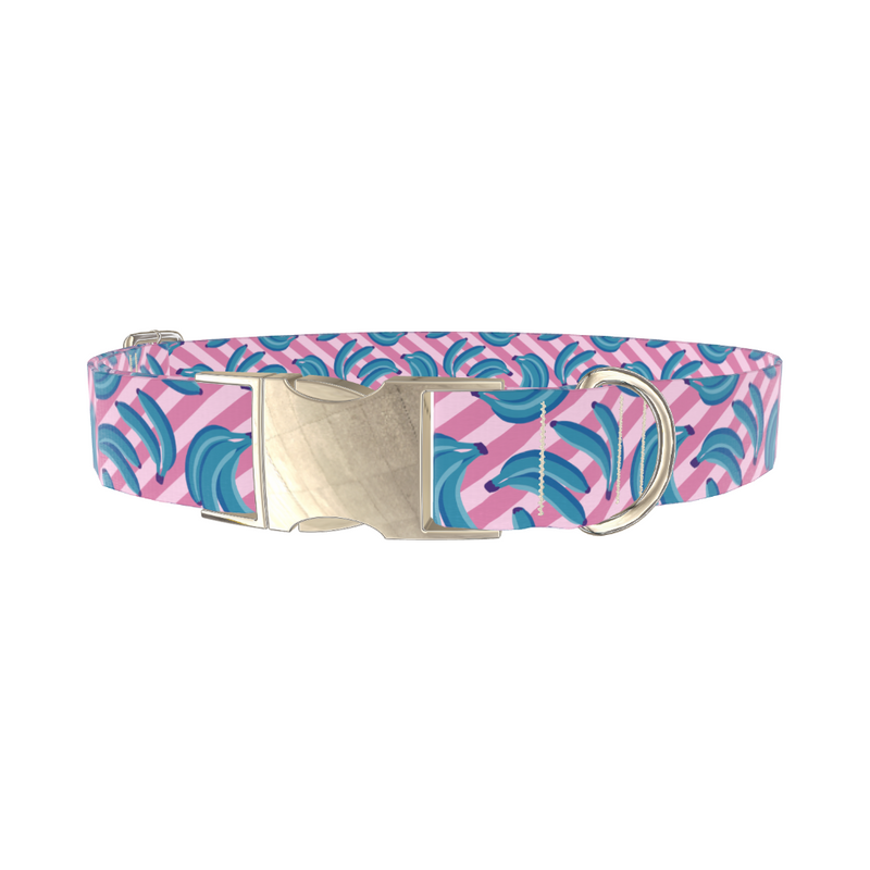 Blue Banana Dog Collar