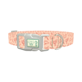 Holiday Western Cactus Dog Collar - plastic silver