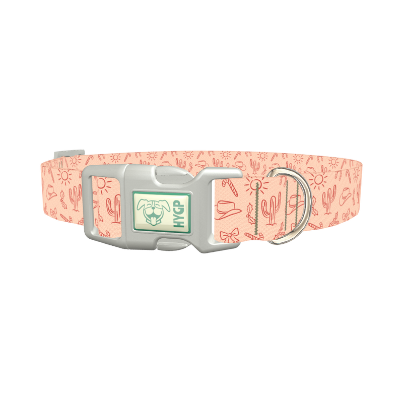 Holiday Western Cactus Dog Collar - plastic silver