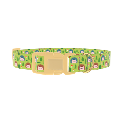 Animals8_Hedgehog
