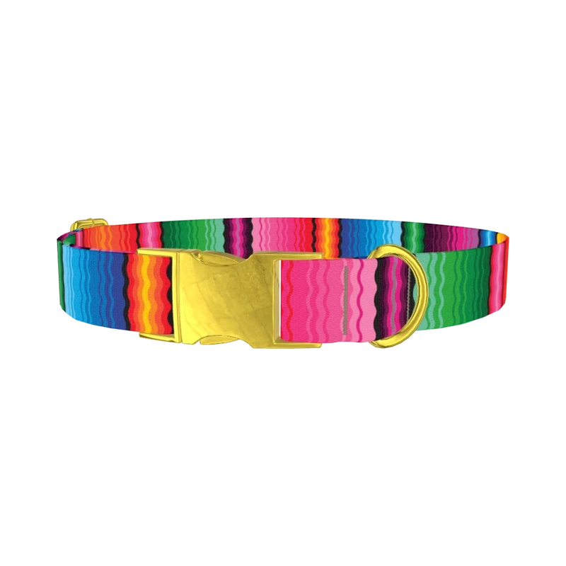 Wavy Rainbow Stripe Dog Collar - metal gold