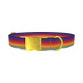 Rainbow Hexagon Dog Collar - metal gold