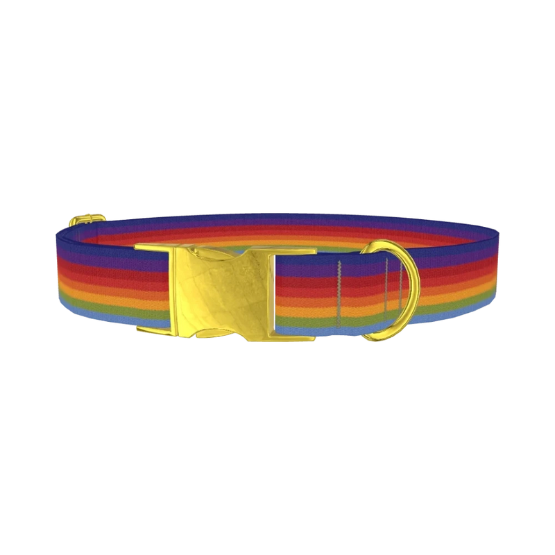 Rainbow Hexagon Dog Collar - metal gold