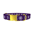 Mystical Sun Eye Dog Collar - metal gold