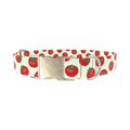Tomato Pattern Dog Collar - metal silver
