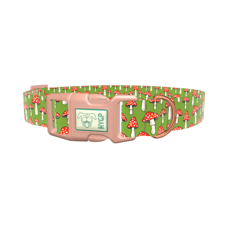 Fly Agaric Mushroom Dog Collar - plastic gold