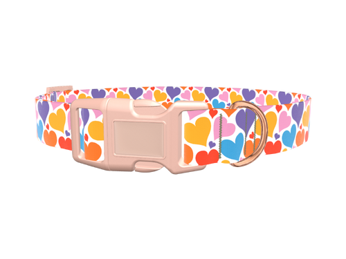 Multicolor Heart Dog Collar