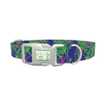 Vibrant Splatter Dog Collar - plastic silver