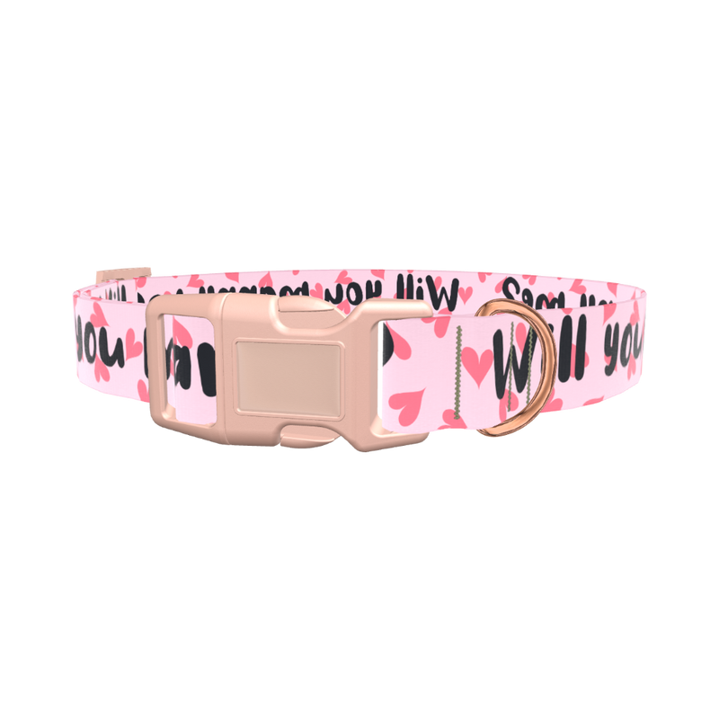 Heart Pattern Dog Collar - plastic silver