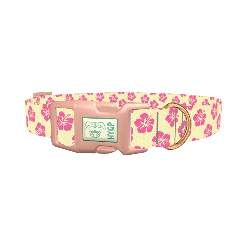 Floral Hibiscus Dog Collar - plastic rose gold