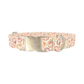 Fall Pumpkin Outline Dog Collar - metal silver