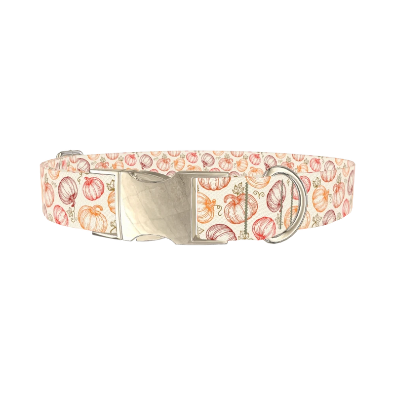 Fall Pumpkin Outline Dog Collar - metal silver