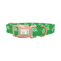 Clover Outline Dog Collar - plastic rose gold