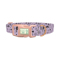 Halloween Witchy Mirror Dog Collar - plastic rose gold