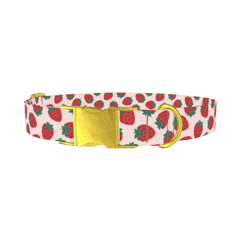 Red Strawberry Pattern Dog Collar - metal gold