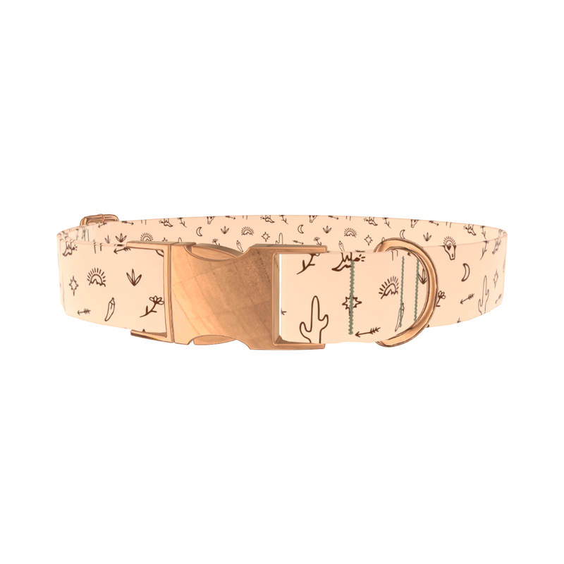 Southwestern Desert Dog Collar - metal silver