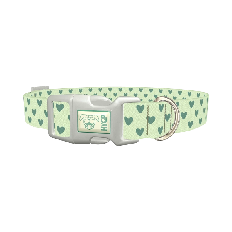 Light Green Heart Dog Collar - plastic silver