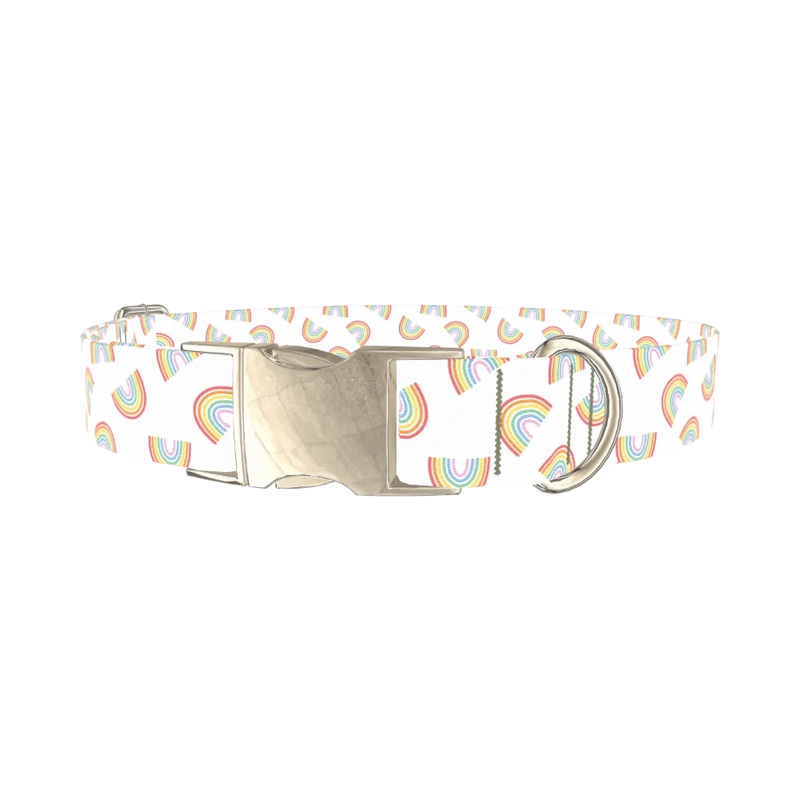 Rainbow Pattern Dog Collar - metal silver