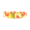 Citrus Fruit Dog Collar - metal gold