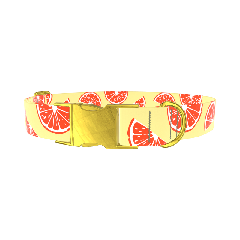 Citrus Fruit Dog Collar - metal gold