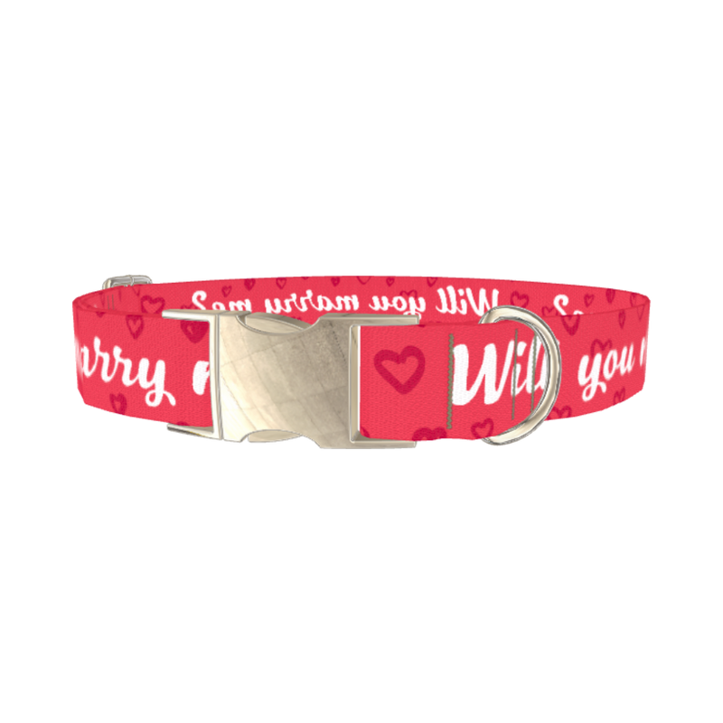 Heart Phrase Dog Collar - metal silver