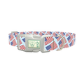 Stars and Stripes Dog Collar - plastic silver